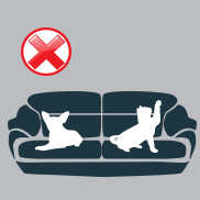 DivaSalotti evitate che animali domestici salgano sul vostro salotto o poltrona